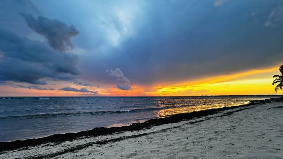 The Rise of Operating Systems in Private Markets